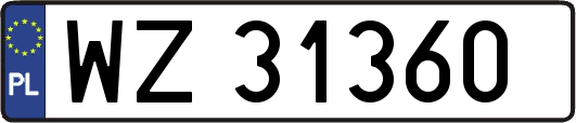 WZ31360