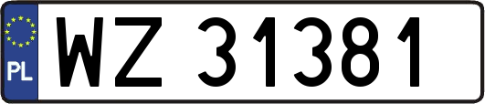 WZ31381