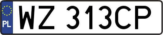 WZ313CP