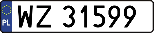WZ31599