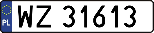 WZ31613