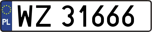 WZ31666