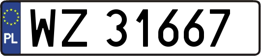 WZ31667