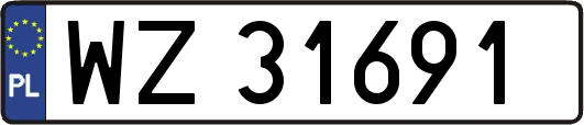 WZ31691