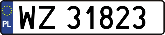 WZ31823