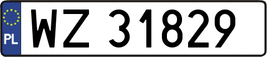 WZ31829