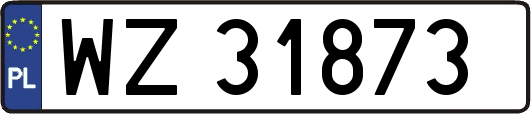 WZ31873