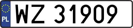WZ31909