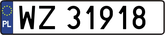 WZ31918