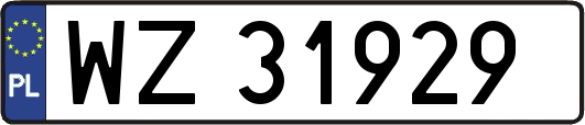 WZ31929
