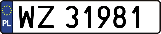 WZ31981