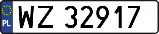 WZ32917