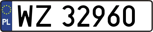 WZ32960