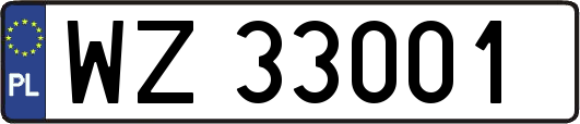 WZ33001