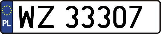WZ33307