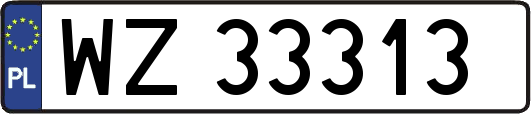 WZ33313