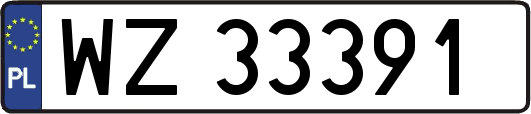 WZ33391