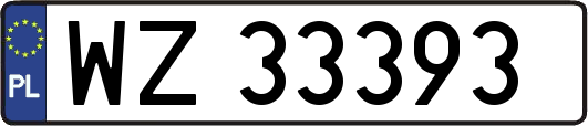 WZ33393