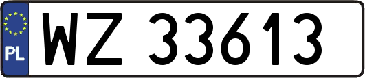WZ33613