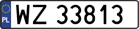 WZ33813