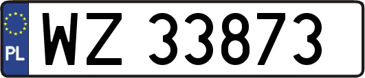 WZ33873