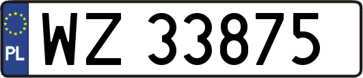 WZ33875