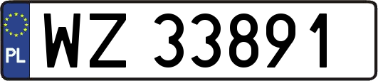 WZ33891