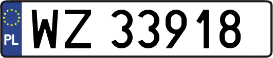 WZ33918