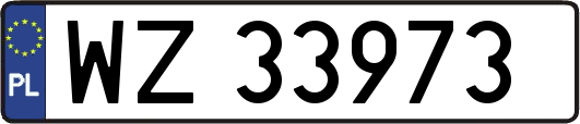WZ33973