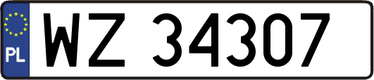 WZ34307