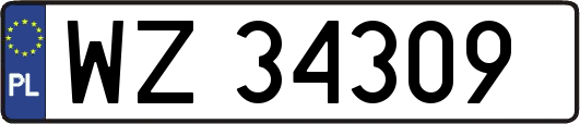 WZ34309