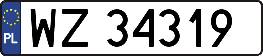 WZ34319