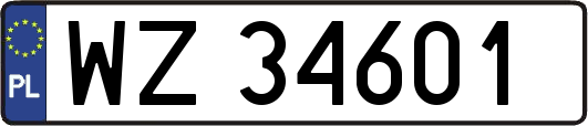 WZ34601