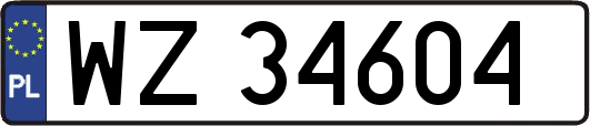 WZ34604