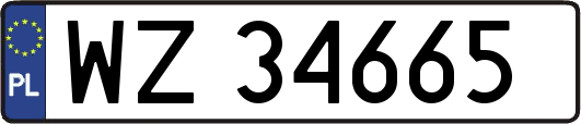 WZ34665