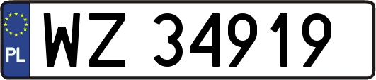 WZ34919