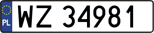 WZ34981