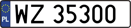 WZ35300
