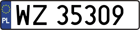WZ35309