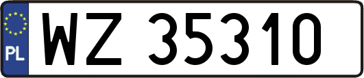WZ35310