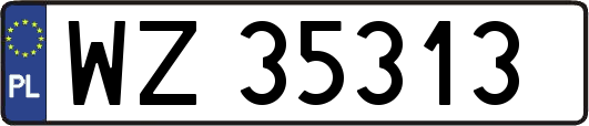 WZ35313