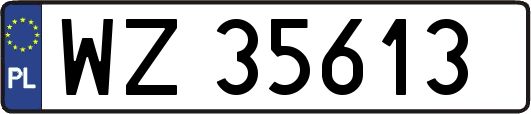WZ35613