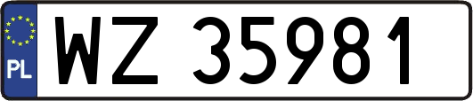 WZ35981