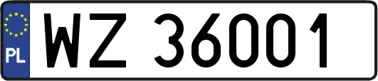 WZ36001