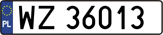 WZ36013