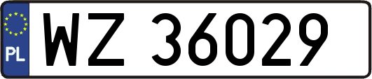 WZ36029