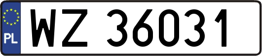 WZ36031