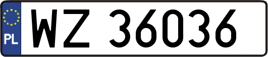 WZ36036