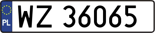 WZ36065