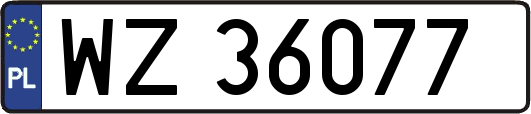 WZ36077
